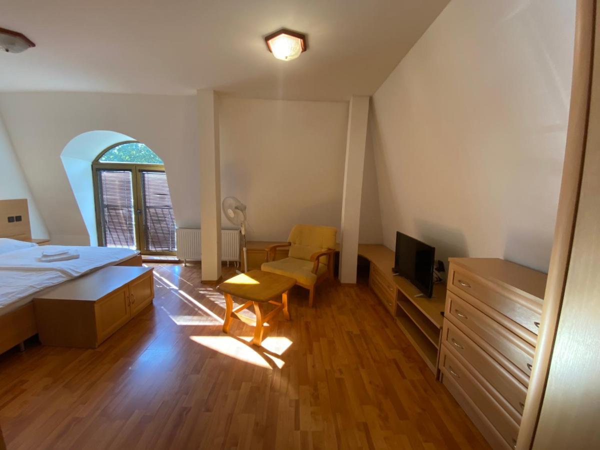 Hotel David Velke Bosany 外观 照片